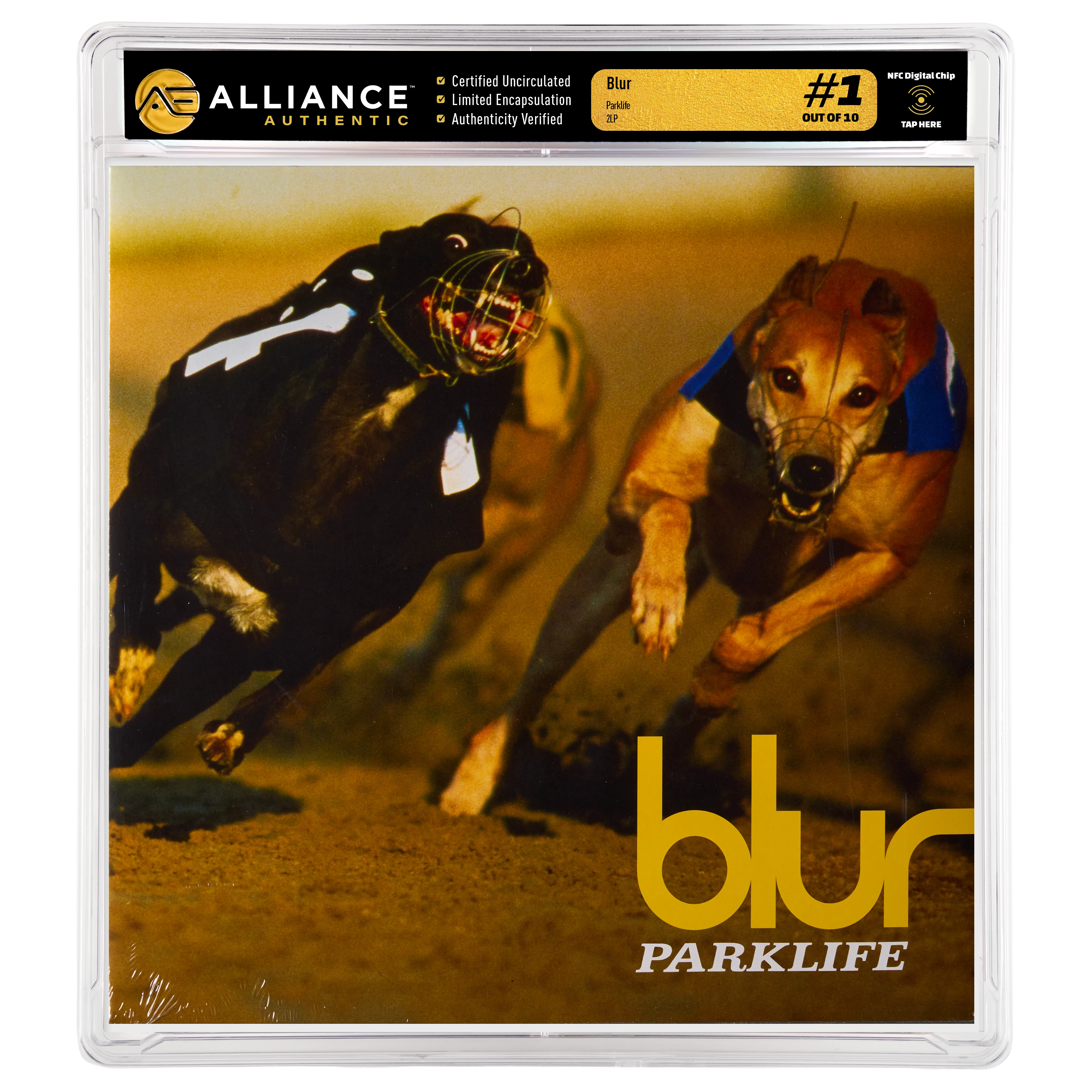 Alliance Authentic