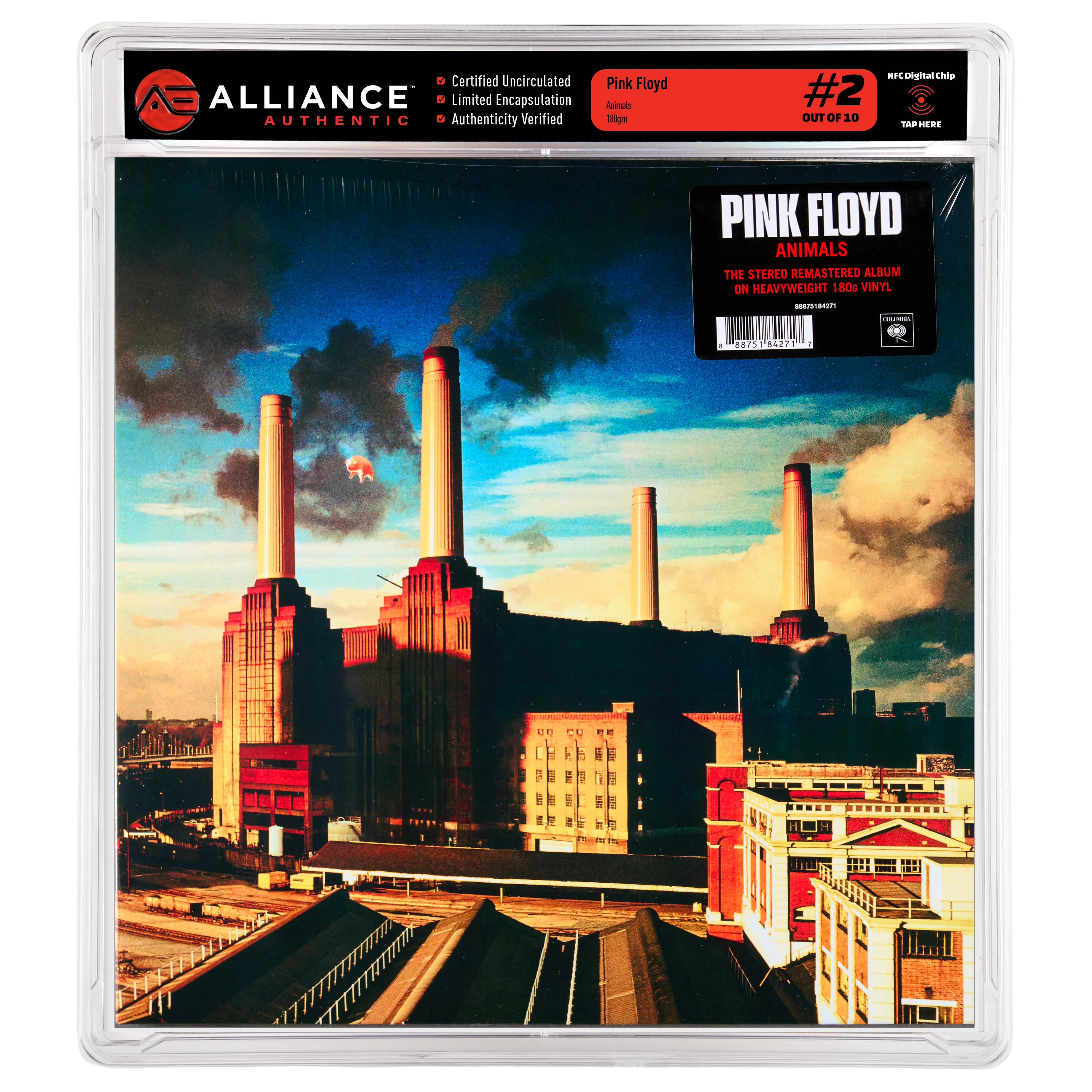 Animals - Alliance Authentic